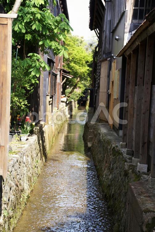 増田町の水路 増田町,水路,伝統的建造物群保存地区の写真素材