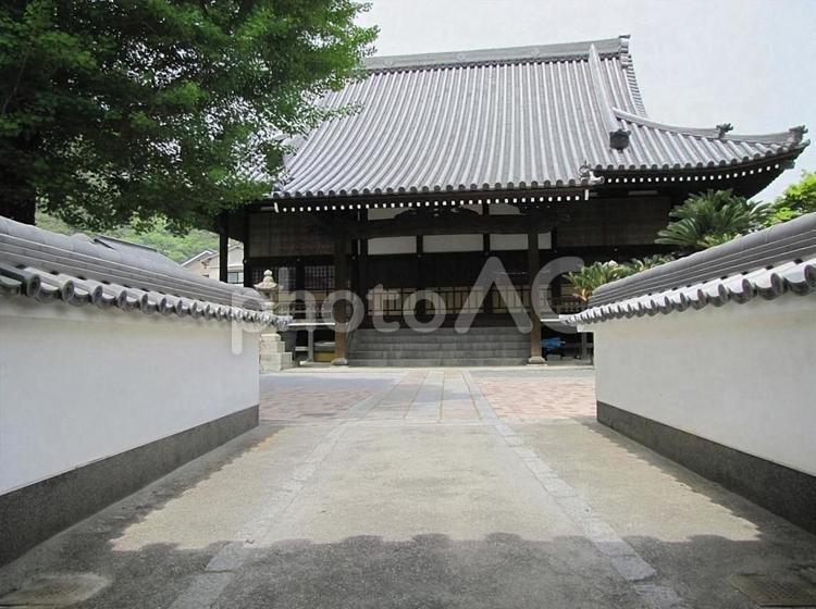 【風景写真】善教寺(広島県三原市)の風景 善教寺,浄土真宗,神社仏閣の写真素材