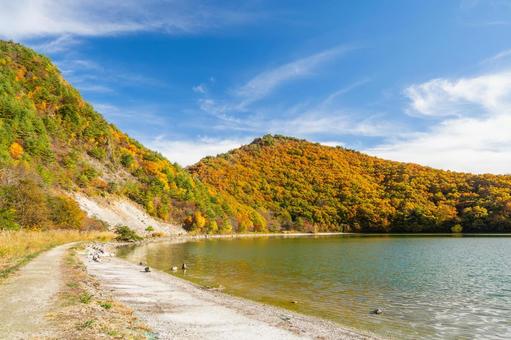 潟沼の秋⑹ 秋,紅葉,黄葉の写真素材