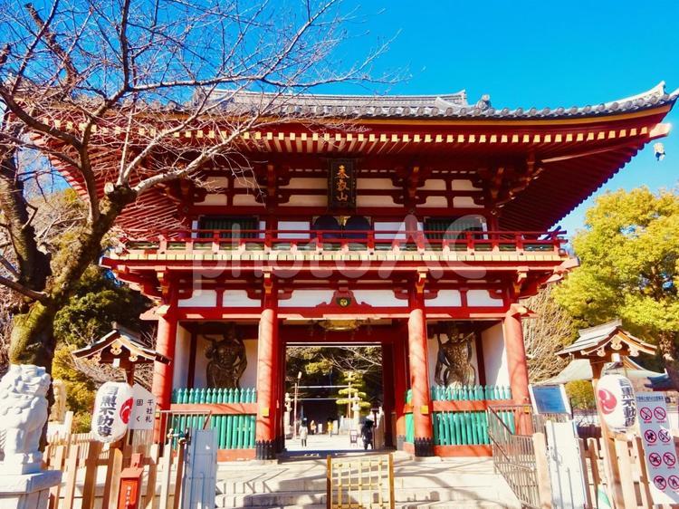 目黒不動尊瀧泉寺の仁王門 青空,空,ブルースカイの写真素材