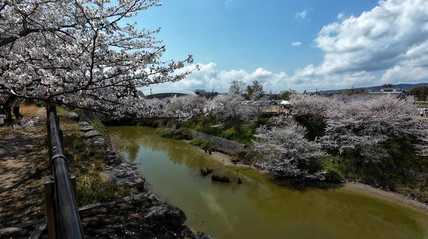 郡山城のお堀 郡山城のお堀の写真