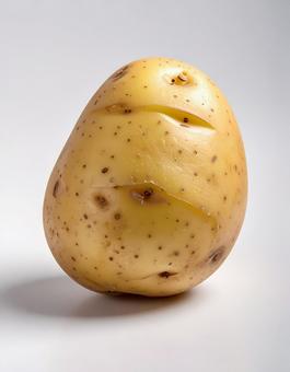 白い背景に皮付きのじゃがいもの写真