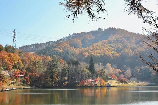 紅葉　長野県　聖湖 紅葉,湖,長野県の写真素材