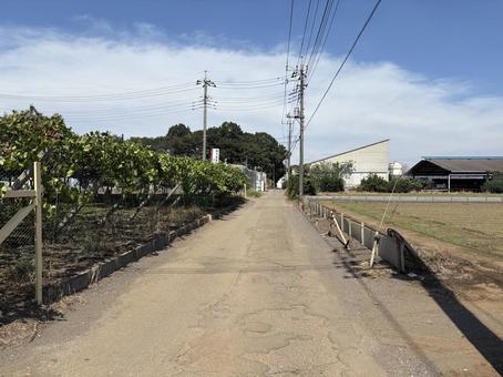 田舎道 田舎道の写真