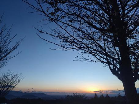 初冬の夕暮れ 夕暮れ,初冬,樹木の写真素材