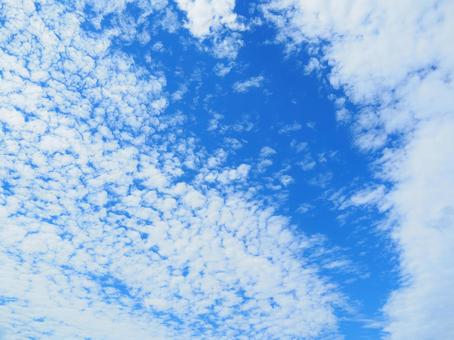 初夏の雲② 初夏の雲②の写真
