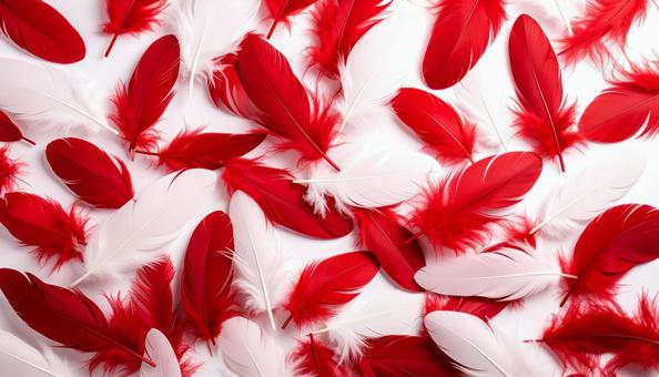 紅白の羽根 紅白の羽根の写真