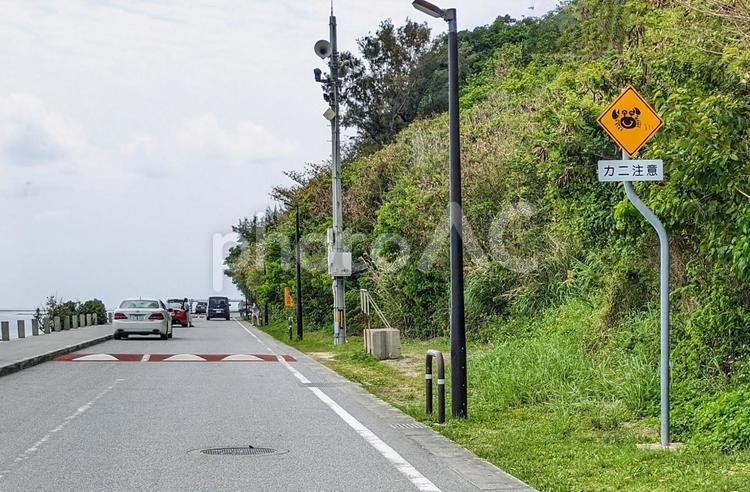 カニ注意　～道路標識のある風景～ 標識,道路標識,沖縄の写真素材