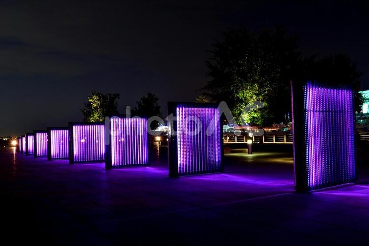 横浜の夜景 yokohama,ひかり,よこはまの写真素材