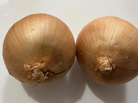 たまねぎ カレー野菜,玉ねぎ,野菜の写真素材