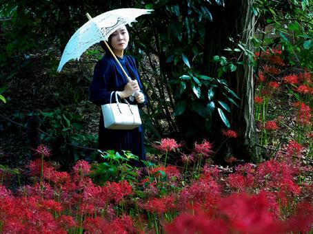 40:彼岸花を静かに眺める女性 40:彼岸花を静かに眺める女性 彼岸花,ミステリアス,悲しげの写真素材