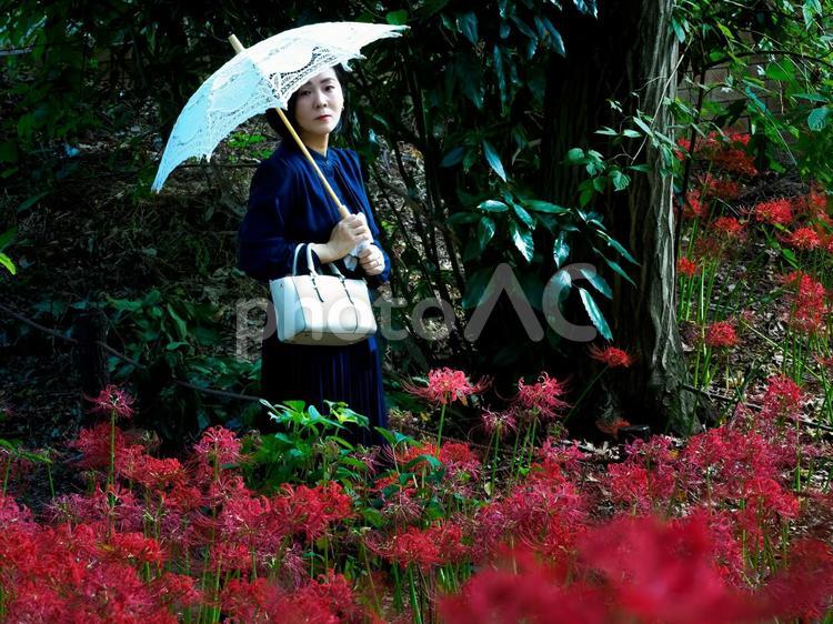 40：彼岸花を静かに眺める女性 彼岸花,ミステリアス,悲しげの写真素材