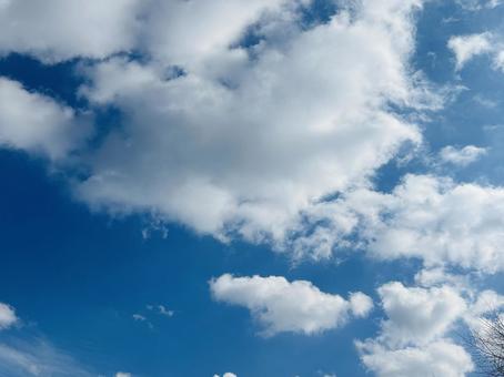 Photo, blauer himmel, leer, grün, 