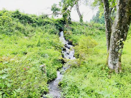 森の奥に佇む静寂の渓流風景 森の奥に佇む静寂の渓流風景 小川,清流,渓流の写真素材