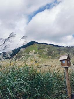 秋の曽爾高原 曽爾高原,ススキ,ライトアップの写真素材