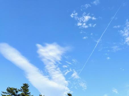 飛行機雲が浮かぶ青空 飛行機雲が浮かぶ青空 飛行機雲,青空,晴天の写真素材