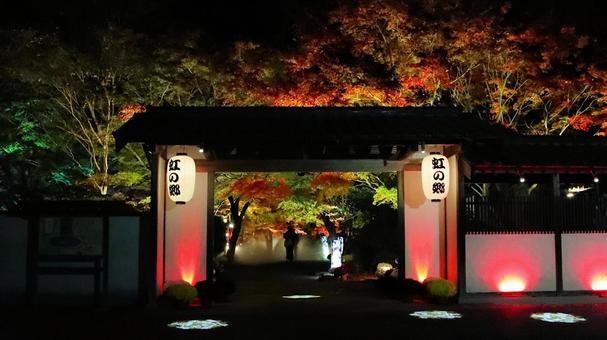 虹の郷夜景　紅葉と菖蒲門 紅葉,夜景,虹の郷の写真素材