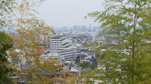ハイキング道からの景色 夏,トレッキング,ハイキングの写真素材