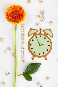 紙でできた時計と「MENOPAUSE」の文字と花 生理,月経,文字の写真素材