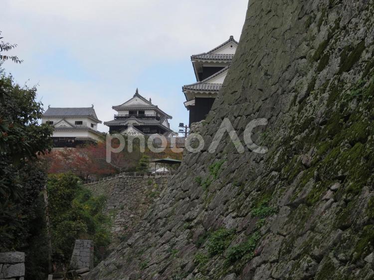 松山城　石垣と天守 松山城,松山市,松山の写真素材