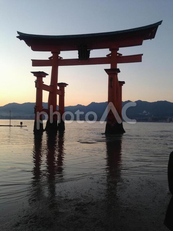 夕暮れの厳島神社 厳島神社,宮島,広島の写真素材