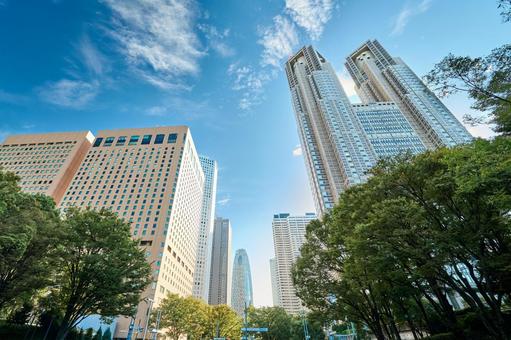 都庁 高層ビル 東京 新宿 都庁 高層ビル 東京 新宿 新宿,高層ビル,都庁の写真素材