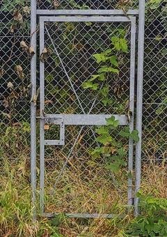 扉 扉,植物,11月の写真素材