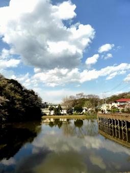 4月、晴天の鎌倉・夫婦池公園 4月、晴天の鎌倉・夫婦池公園の写真