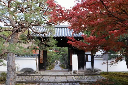 圓光寺　正門 圓光寺,正門,紅葉の写真素材