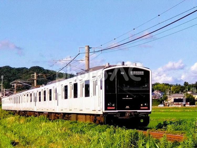 田園を走るJR九州305系（筑肥線） jr九州,筑肥線,305系の写真素材