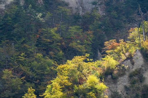 白岩の秋⑵の写真