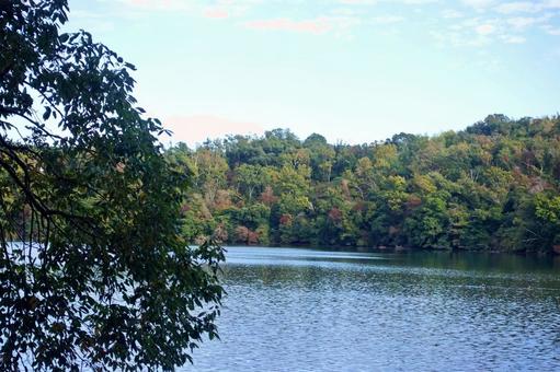 湖面を渡る初秋の風　一碧湖 湖面,初秋,さざ波の写真素材