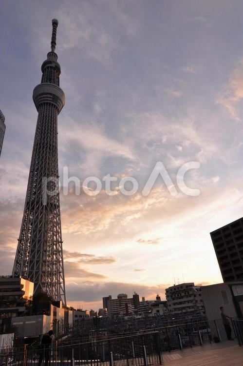 夕暮れのスカイツリー スカイツリー,東京スカイツリー,東京の街並みの写真素材