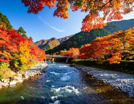 紅葉と川 紅葉と川の写真