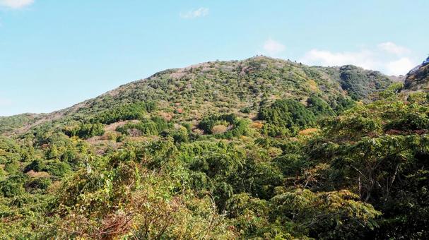 秋の西伊豆・石部棚田付近の山々・松崎町 秋の西伊豆・石部棚田付近の山々・松崎町 秋,伊豆半島,紅葉の写真素材
