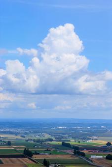 青空と雲 青空と雲 青空,雲,白い雲の写真素材