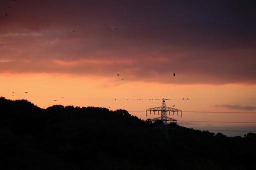 夕焼け空にカラスの歌声 夕焼け空にカラスの歌声 夕焼け,夕方,夕暮れの写真素材