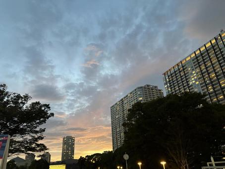 有明の夕焼け 有明の夕焼け 東京都,有明,高層ビルの写真素材