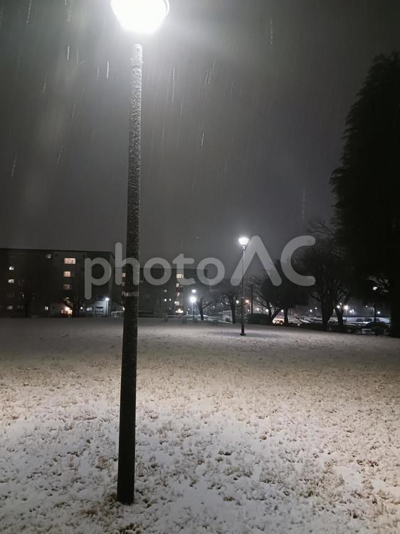 夜の雪景色と街灯が照らす幻想的な公園 雪,夜,公園の写真素材