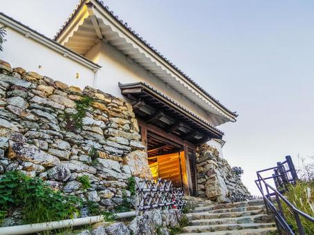 【静岡県】浜松市・浜松城 浜松城,浜松市,浜松城公園の写真素材