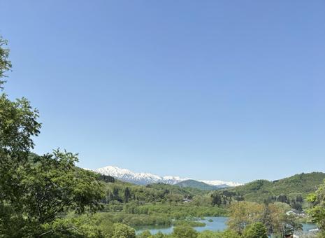水没林 水没林 水没林,青い空,残雪の写真素材