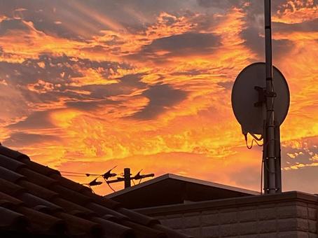 夕日 夕日 空,夕日,夕焼けの写真素材