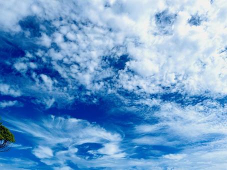 雲の進行 雲の進行 青空,空,雲の写真素材