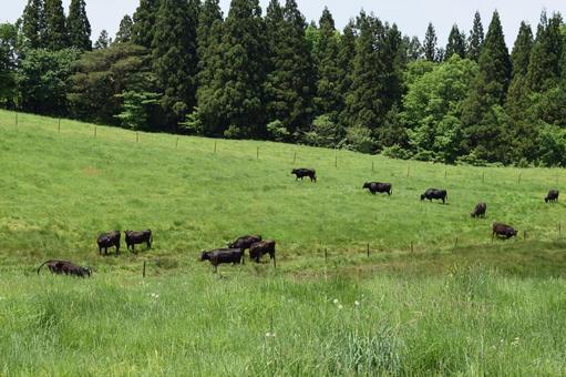 Photo, gassan highland ranch, moon mountain ranch, plateau ranch, 