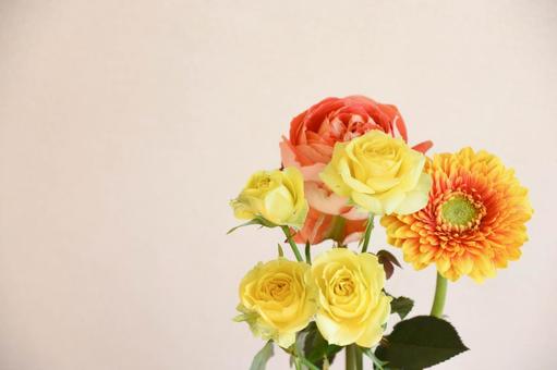 薔薇とガーベラ オレンジ色,ガーベラ,フラワーの写真素材