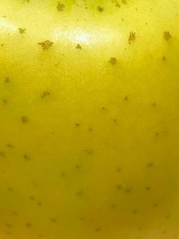 りんご（シナノゴールド）の果皮のアップ２ りんご,テクスチャ,シナノゴールドの写真素材