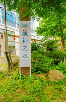 Photo, aomori, 2025, townscape, 