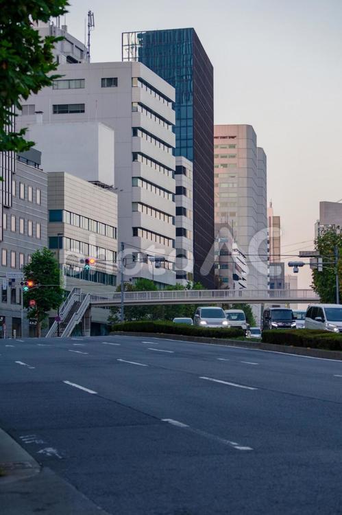 青山通りの朝の風景 青山通り,朝,道路の写真素材