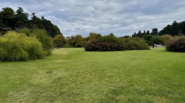 原っぱ 原っぱ 偕楽園,庭園,庭の写真素材