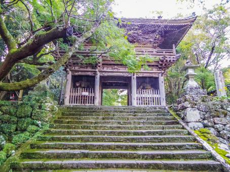 【高知県】高知市・竹林寺 竹林寺,寺院,お遍路の写真素材